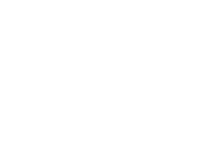 Polinart Gallery